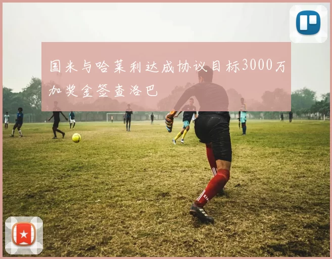 国米与哈莱利达成协议目标3000万加奖金签查洛巴